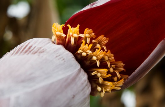 DSC03644TEST SONY.jpg